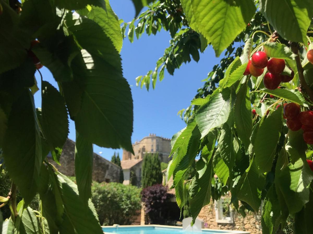 Les Aiguieres En Provence Bed & Breakfast Suze-la-Rousse Exterior foto