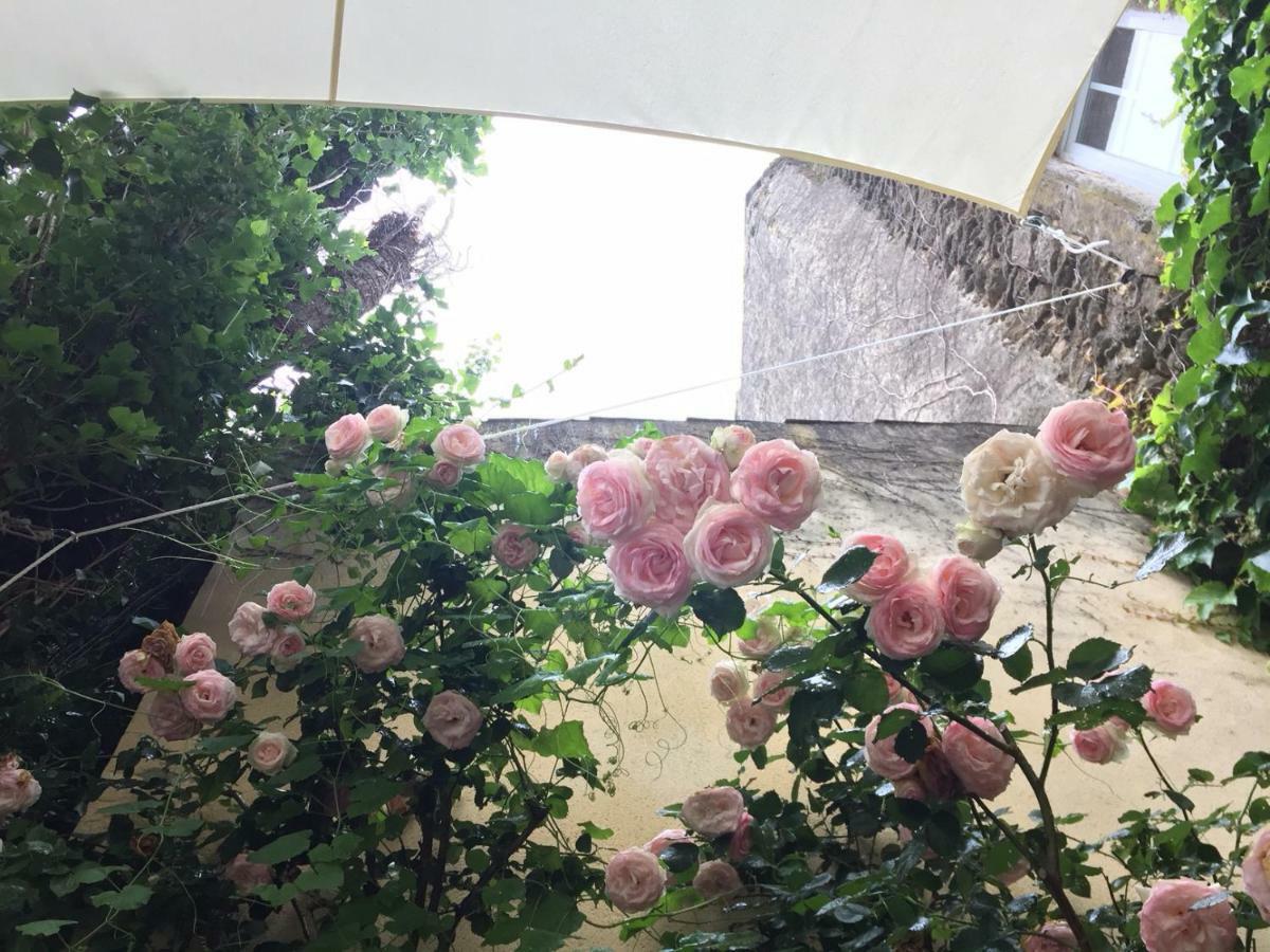 Les Aiguieres En Provence Bed & Breakfast Suze-la-Rousse Exterior foto